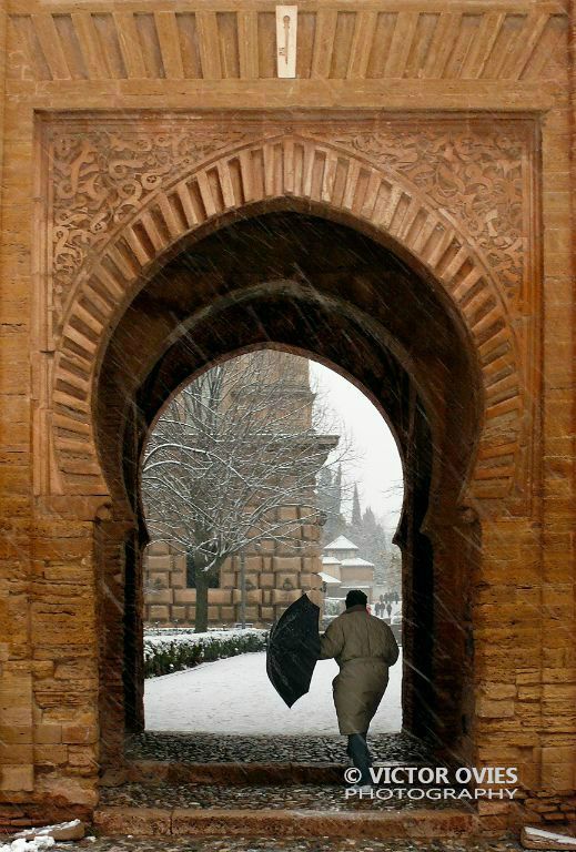 Puerta del Vino (Enero 2010)