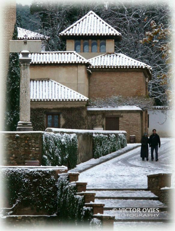 Calle Real de la Alhambra (Enero 2010)