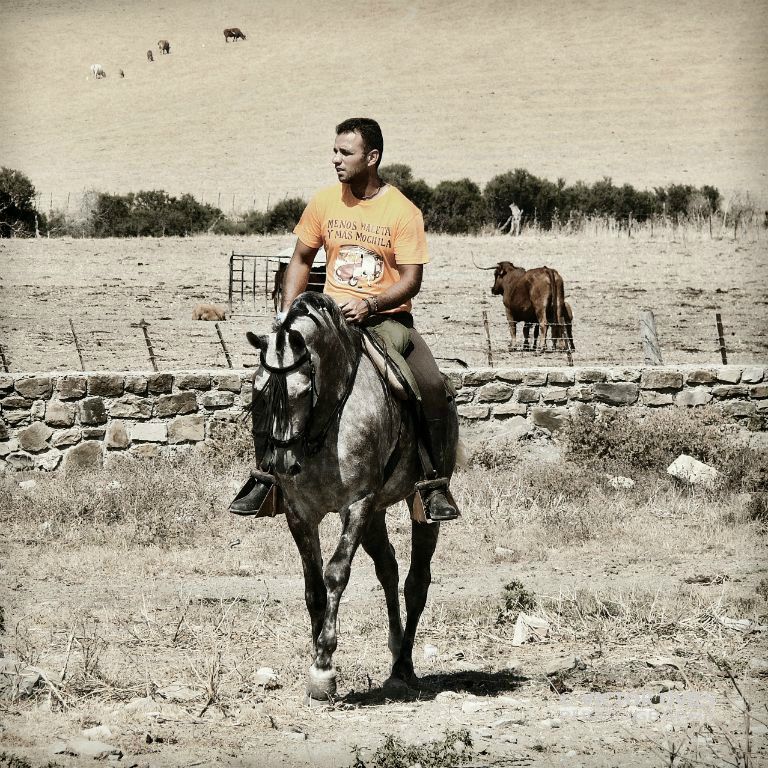 Horse rider in Cadiz