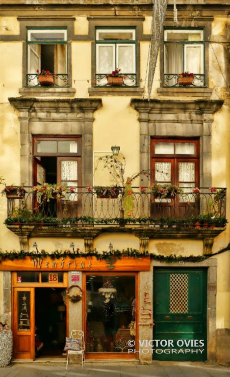 Flowers Street (Rua Das Flores)