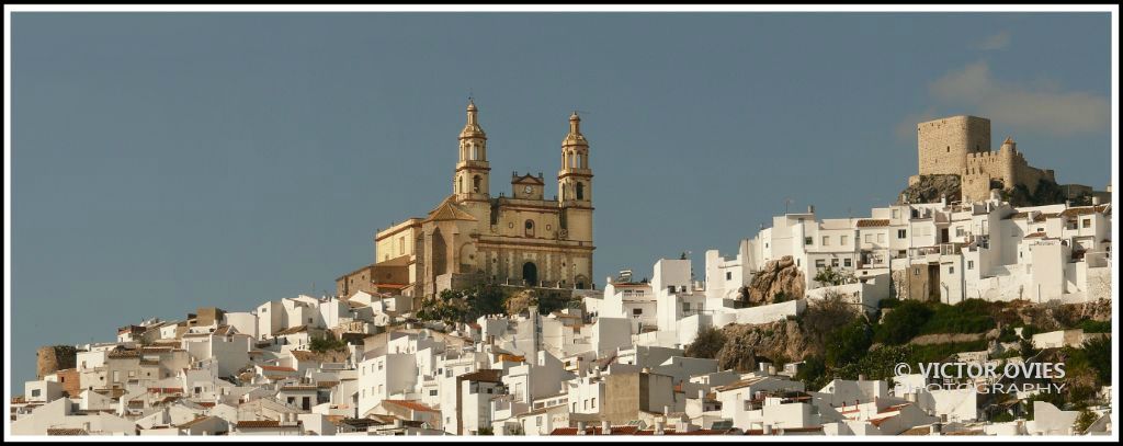 Olvera