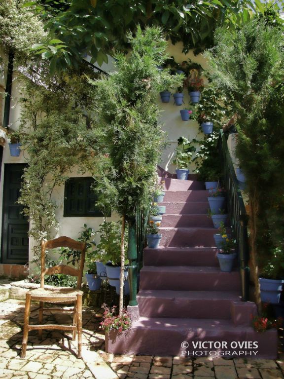 Patios Cordobeses