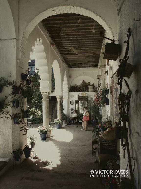 Patios Cordobeses