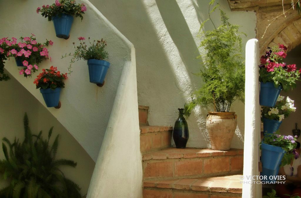 Patios Cordobeses