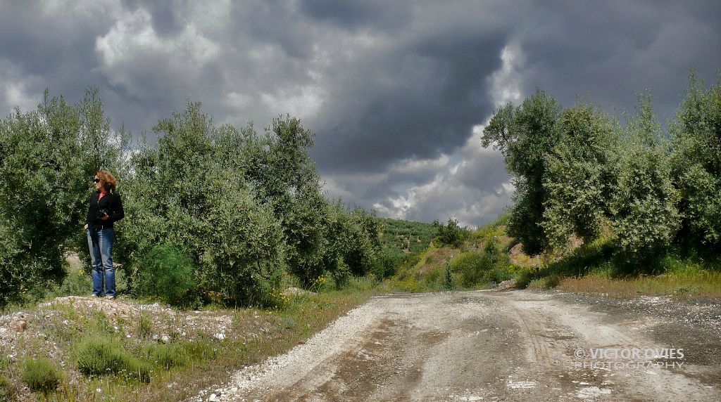 Paisaje cordobés