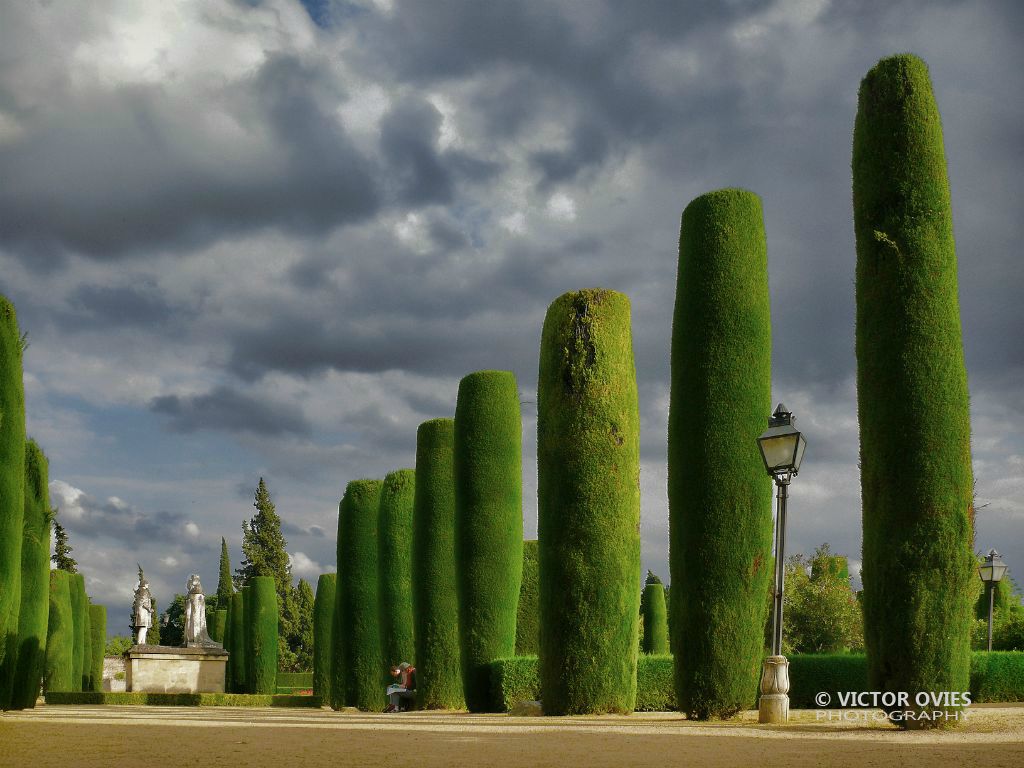 Jardines de El Alcazar