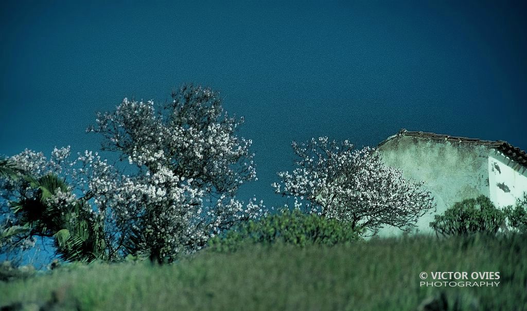 Almendros