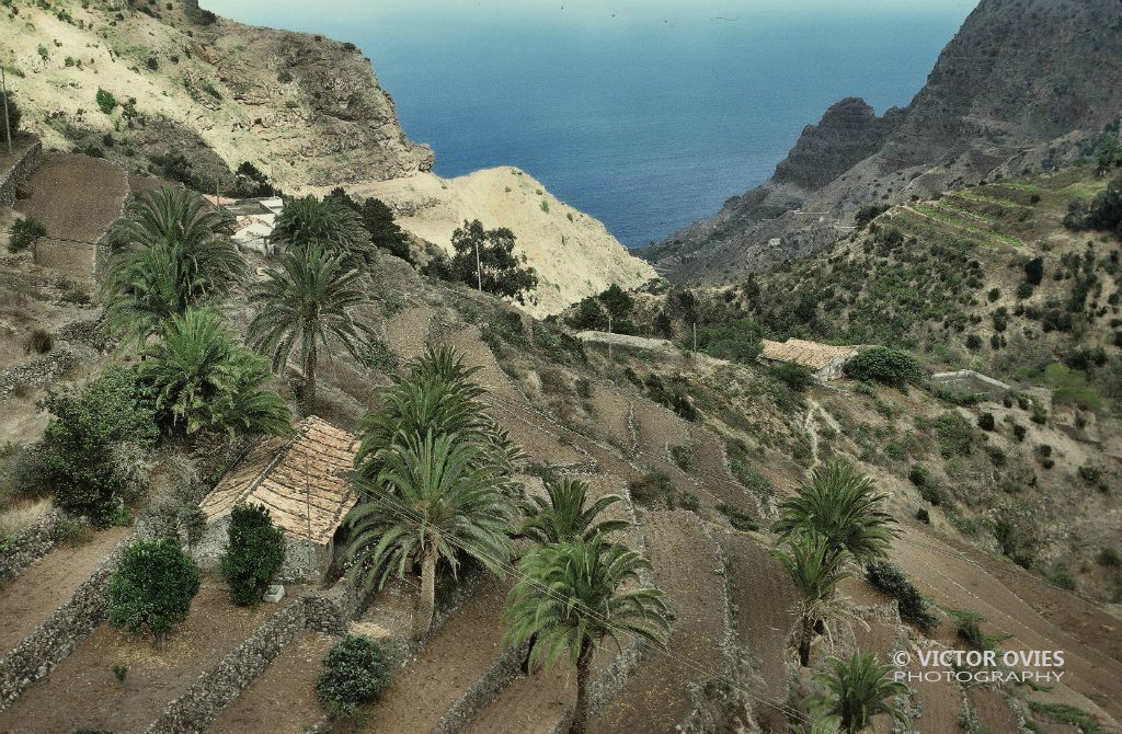 Barrancos