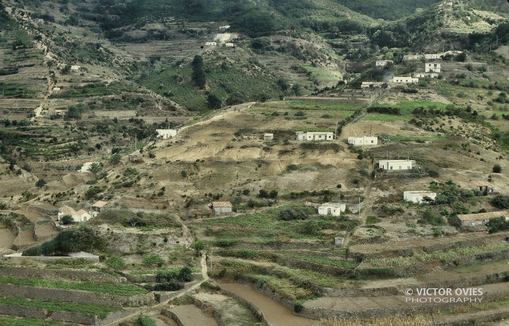 Terrazas