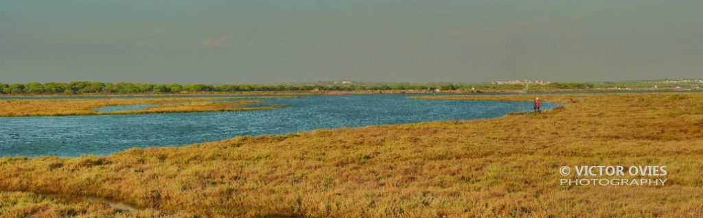 Marismas de Isla Cristina